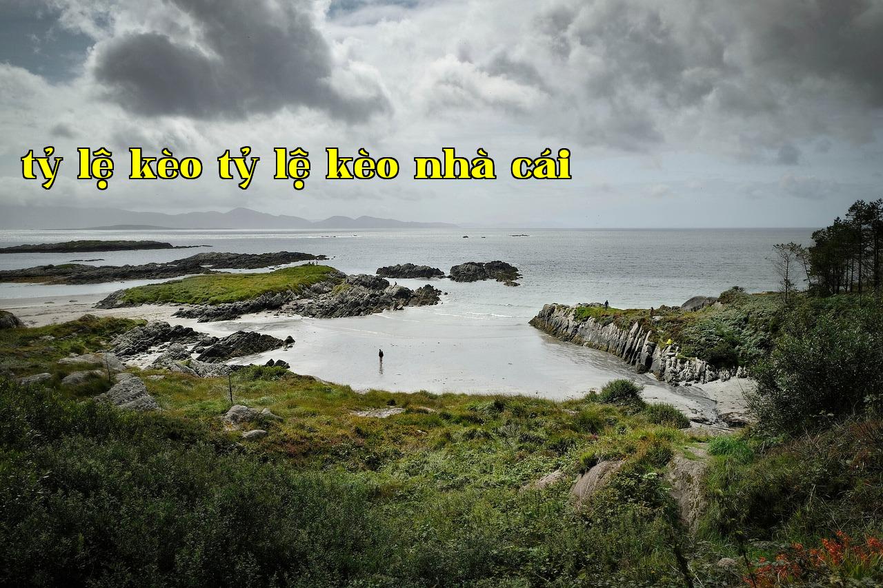 Featured image of post Sự trì hoãn phát triển từ một cái tên miền - trực tiếp đá gà thomo c3