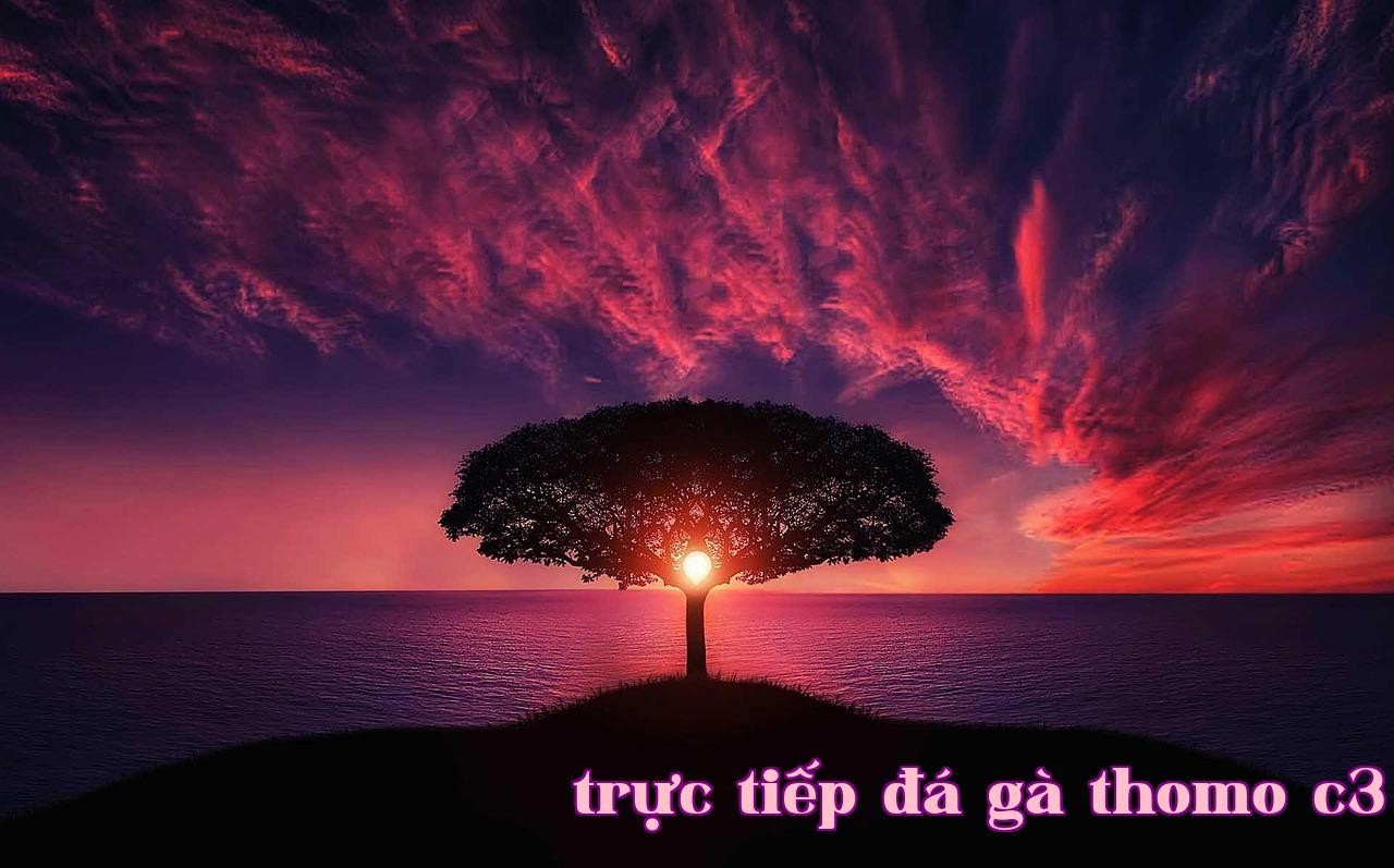Featured image of post Nhật Ký Giấc Mơ - gamebet.com url
