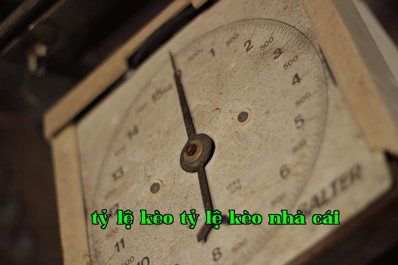 Featured image of post Ngày Cuối Cùng Của Kỳ Nghỉ - gamebet.com url
