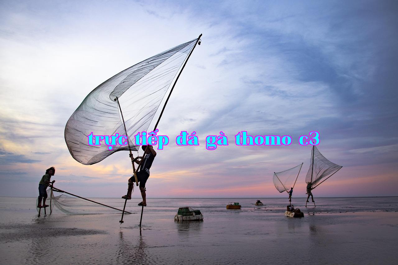 Featured image of post Núi Phân Mã - tải app rw88